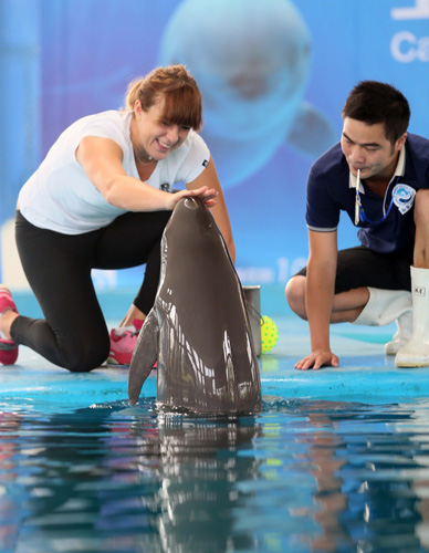 企业的创新 企业的创新