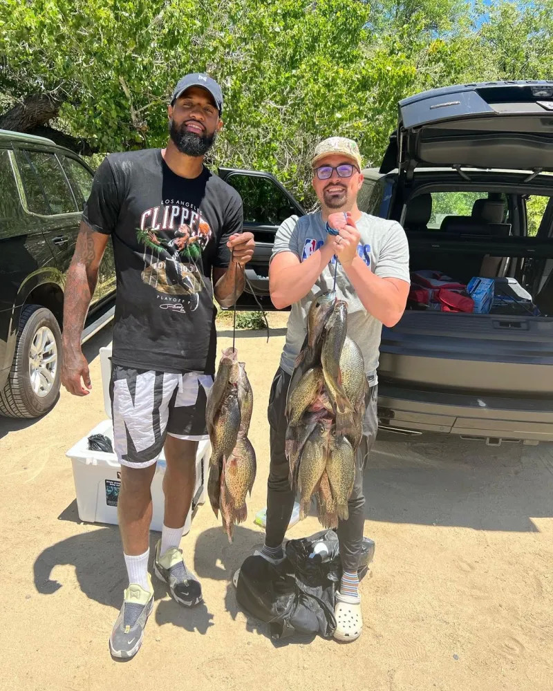 这不是他们 这不是他们